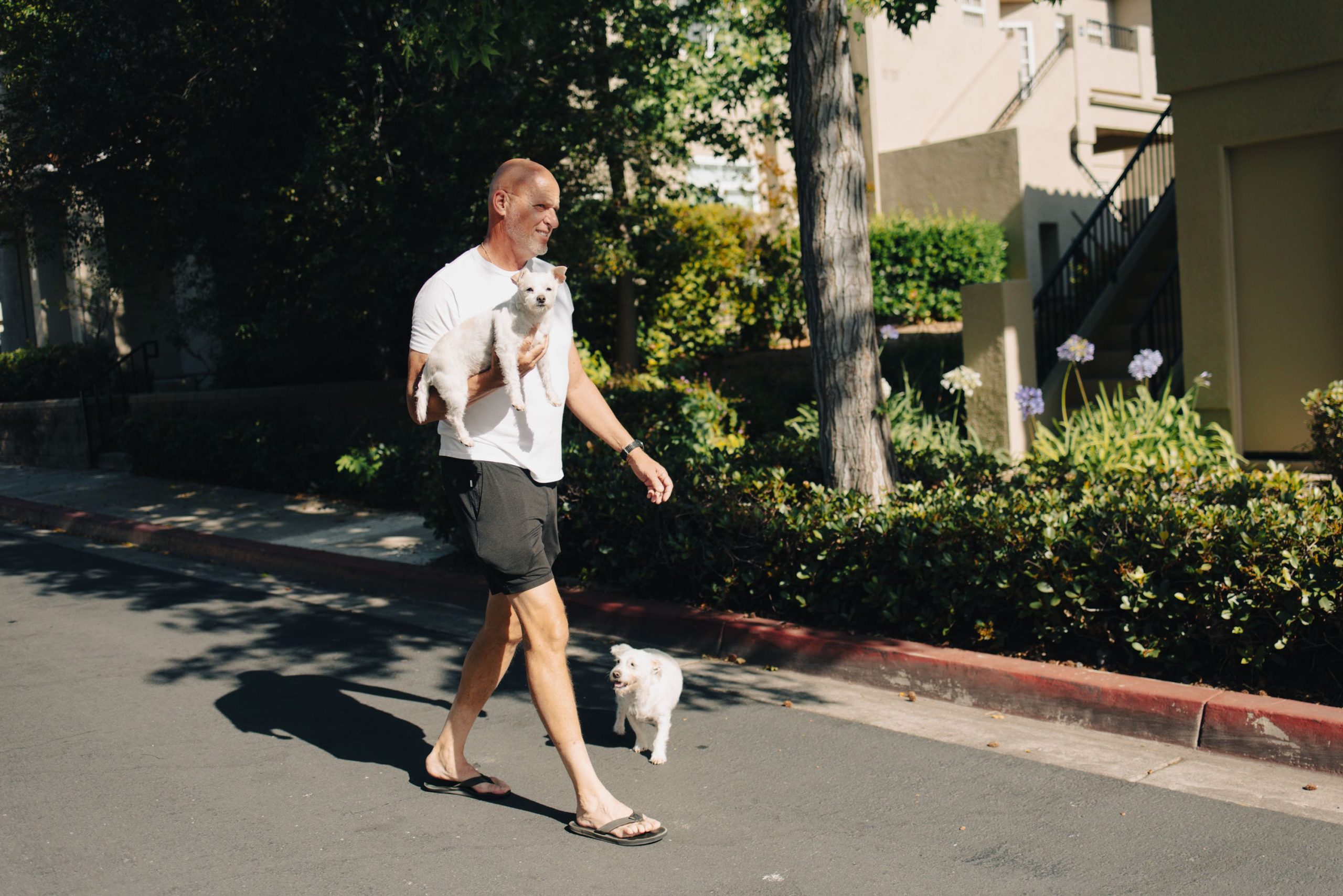 Jeff dắt hai chú chó của mình, Winston và Baby Girl, đi dạo gần nhà ở Orange County, California.