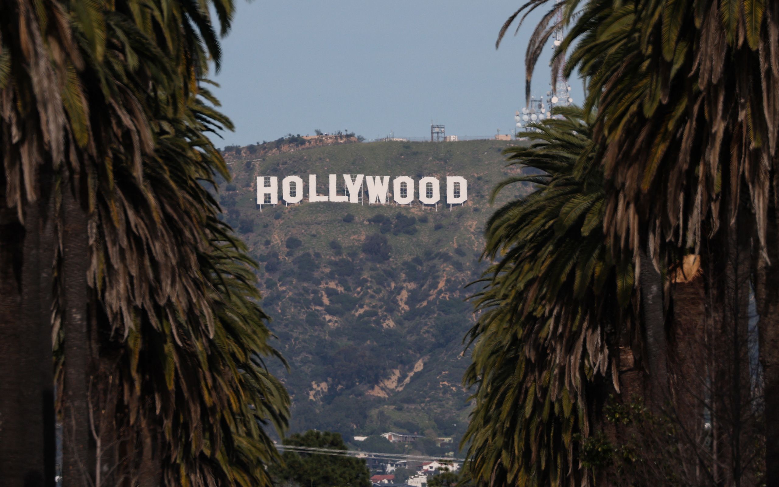 The Hollywood sign is framed by palm trees standing along a residential street in Los Angeles, California on January 28.